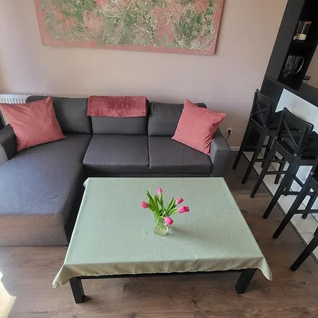 شقة Rzeczanska Poznan, 50m2, Dwie Sypialnie Z Salonem I Aneksem Kuchennym, Balkon, Parking Podziemny, Czwarte Pietro, Winda, Nowy Blok *